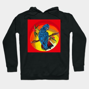 Red tailed black cockatoo sunset Hoodie